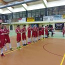 Wilki 84